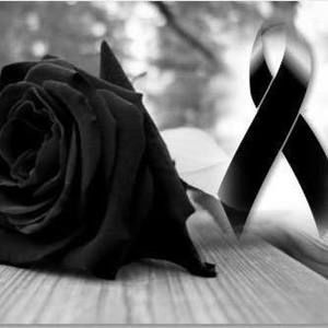 Meet your Posher, Lucero